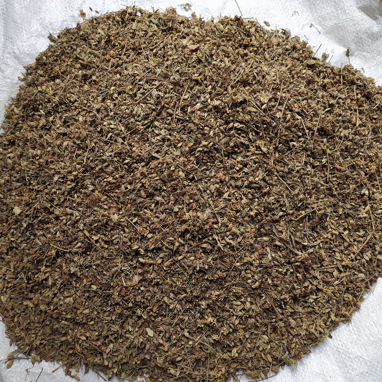 SVM Exports MORINGA DRY FLOWER